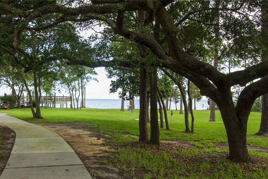 Sidewalk behing Bayside Building heading to North Bay through oak trees