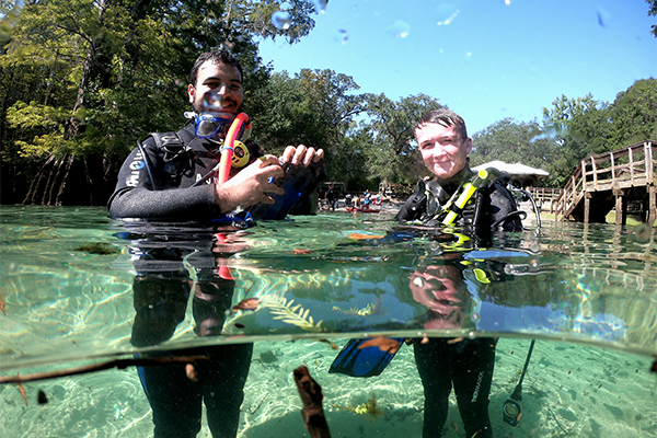 divers in clear water