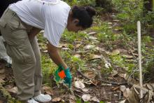 CJE 4638L Forensic Death Investigation Lab 2017