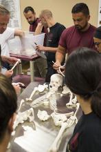 CJE 4638L Forensic Death Investigation Lab 2017