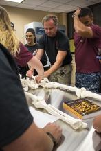 CJE 4638L Forensic Death Investigation Lab 2017