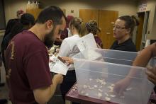 CJE 4638L Forensic Death Investigation Lab 2017