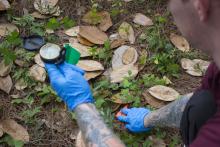 CJE 4638L Forensic Death Investigation Lab 2017