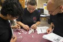 CJE 4638L Forensic Death Investigation Lab 2017