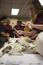 CJE 4638L Forensic Death Investigation Lab 2017