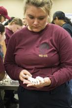 CJE 4638L Forensic Death Investigation Lab 2017