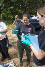 CJE 4638L Forensic Death Investigation Lab 2017