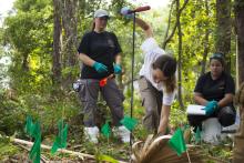 CJE 4638L Forensic Death Investigation Lab 2017
