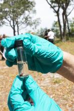 CJE 4638L Forensic Death Investigation Lab 2017