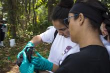 CJE 4638L Forensic Death Investigation Lab 2017