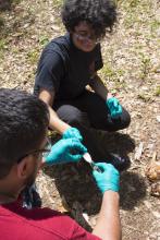 CJE 4638L Forensic Death Investigation Lab 2017