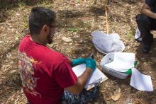 CJE 4638L Forensic Death Investigation Lab 2017